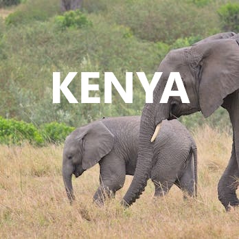 Kenya