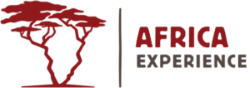 Africa Experience