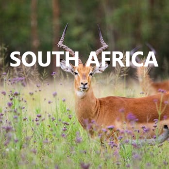 South Africa